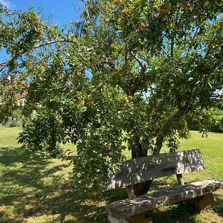 Les Feuilles Jaunes Chantenay-Saint-Imbert Eksteriør billede
